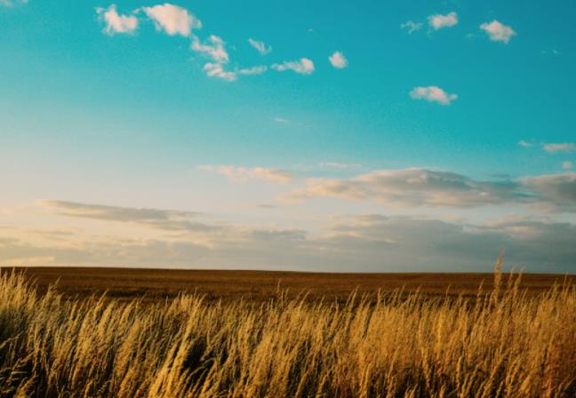 短视频代运营公司