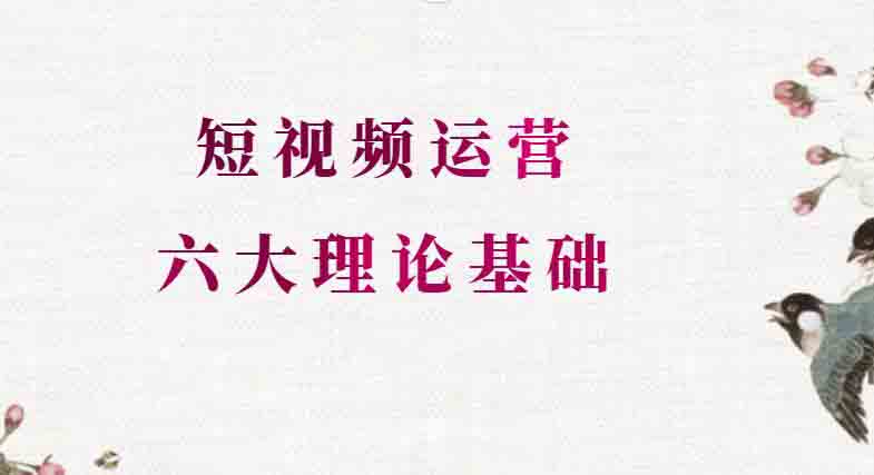 短视频代运营